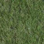 Semilla Mezcla Stone